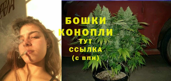 спайс Верея